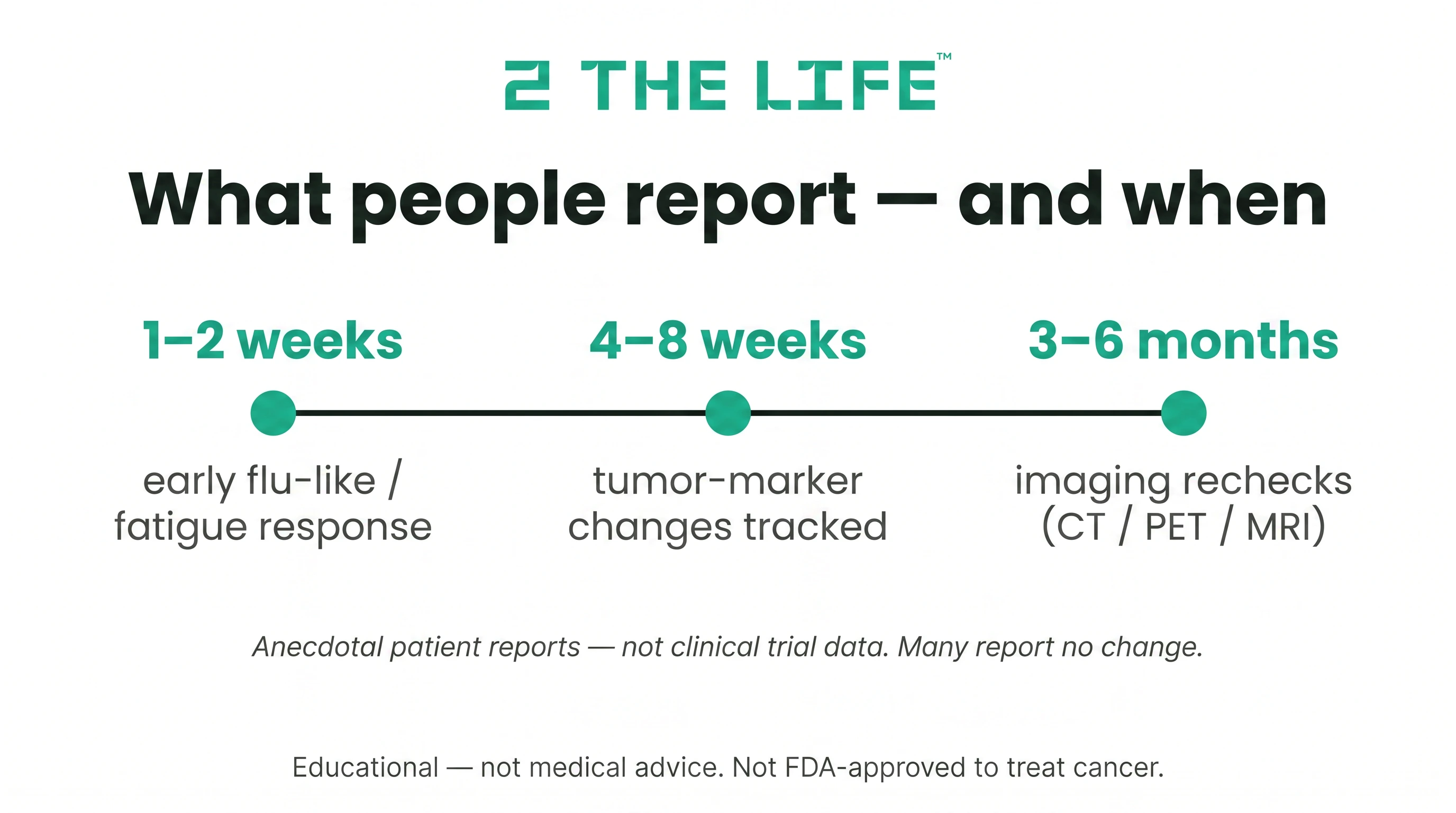 Infographic of anecdotally reported timelines on the fenbendazole protocol — early flu-like or fatigue response at 1 to 2 weeks, tumor-marker changes tracked at 4 to 8 weeks, and imaging rechecks with CT PET or MRI at 3 to 6 months, based on anecdotal patient reports not clinical trial data.